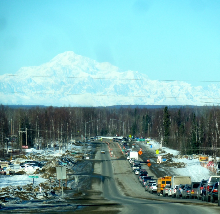 Denali and the Traffic! 